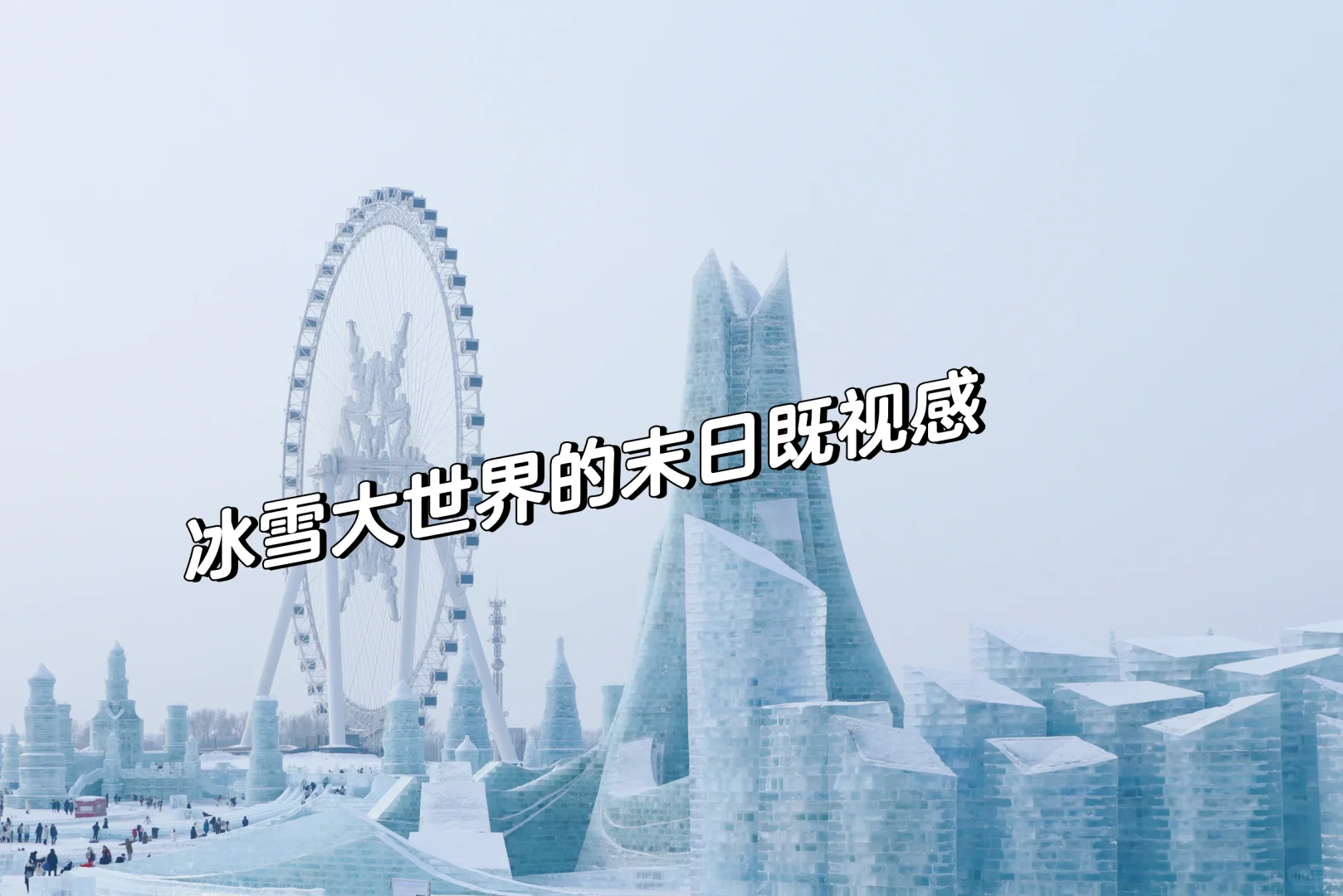 让我来看看各位老师寒假旅游都去了哪里？