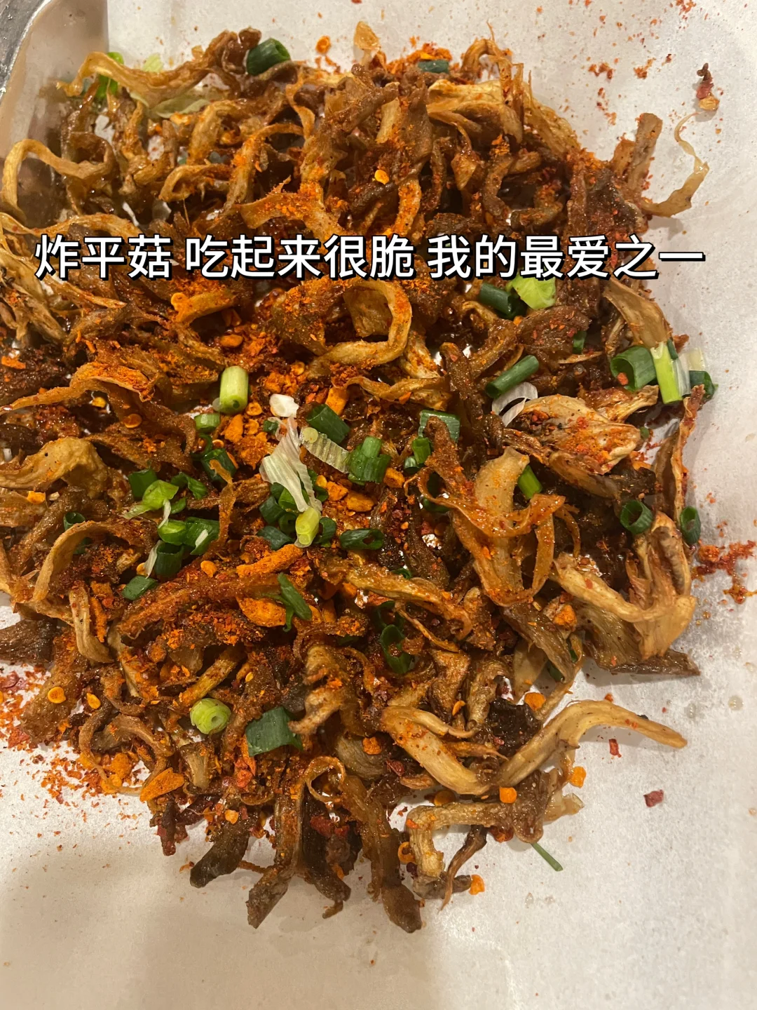 人为什么要旅行，这是我见过最棒的答案👏