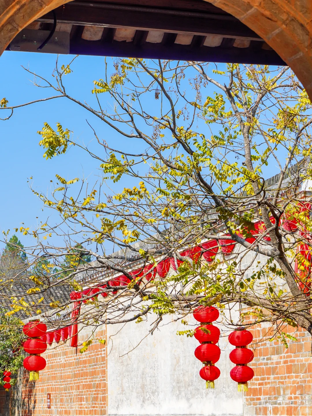 在赣州龙南，遇见客家围屋吉尼斯之最