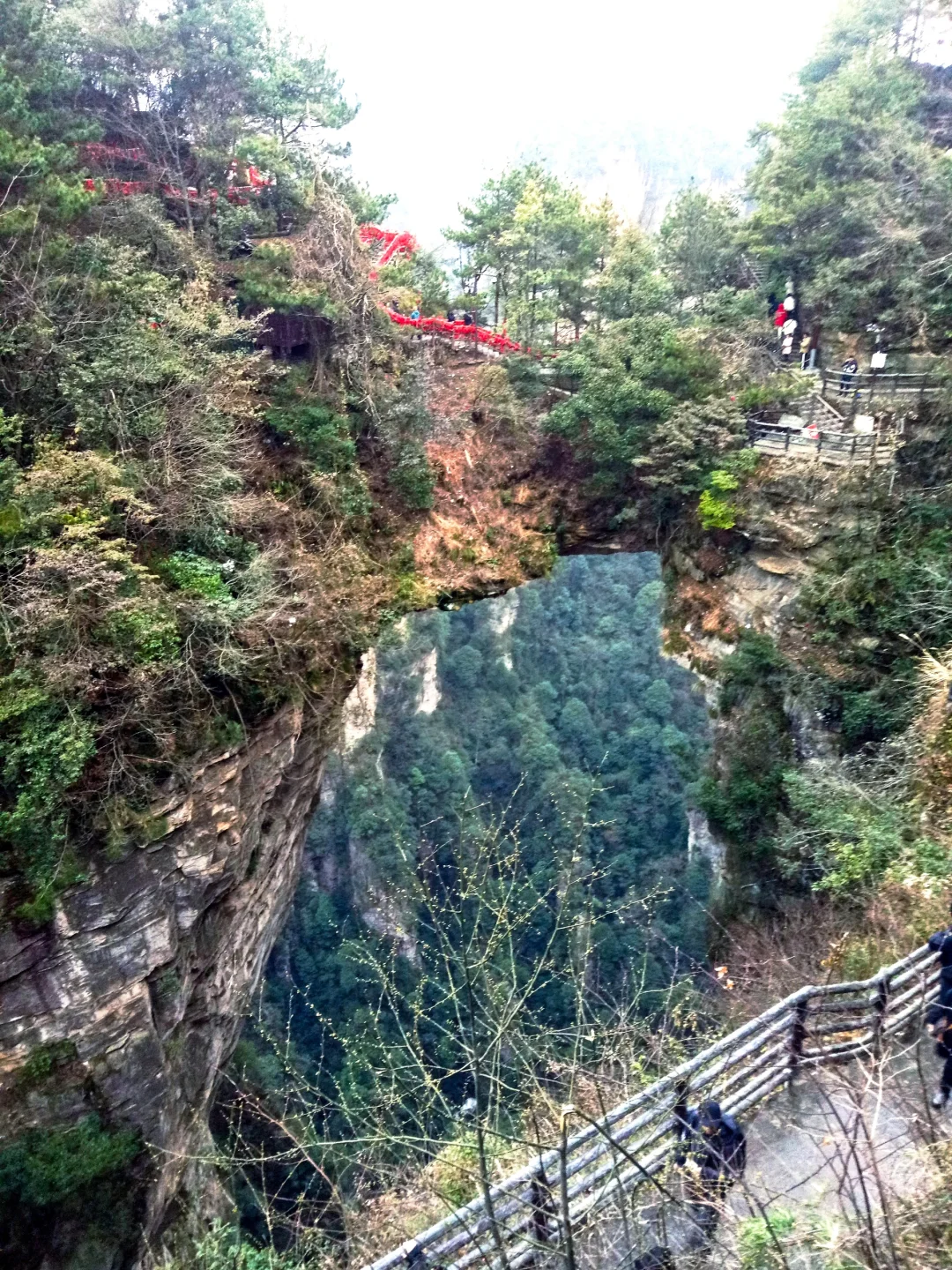迷失在武陵源的人间仙境里｜来张家界吧