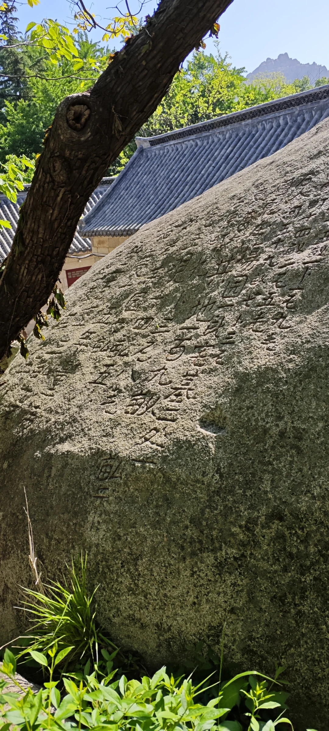 崂山太清游览区登山（三）