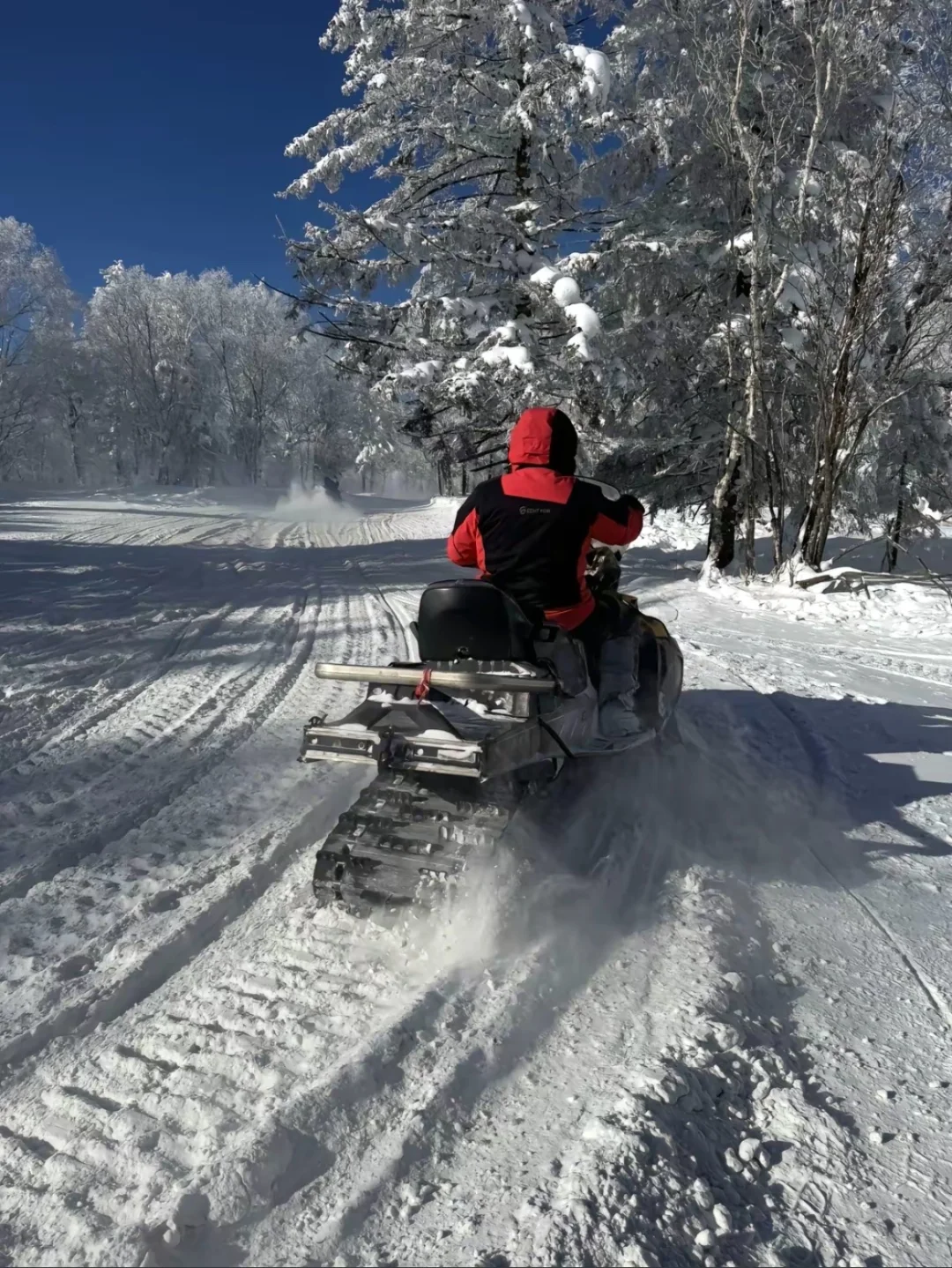 强力建议我的哈尔滨领队师傅（不是拖