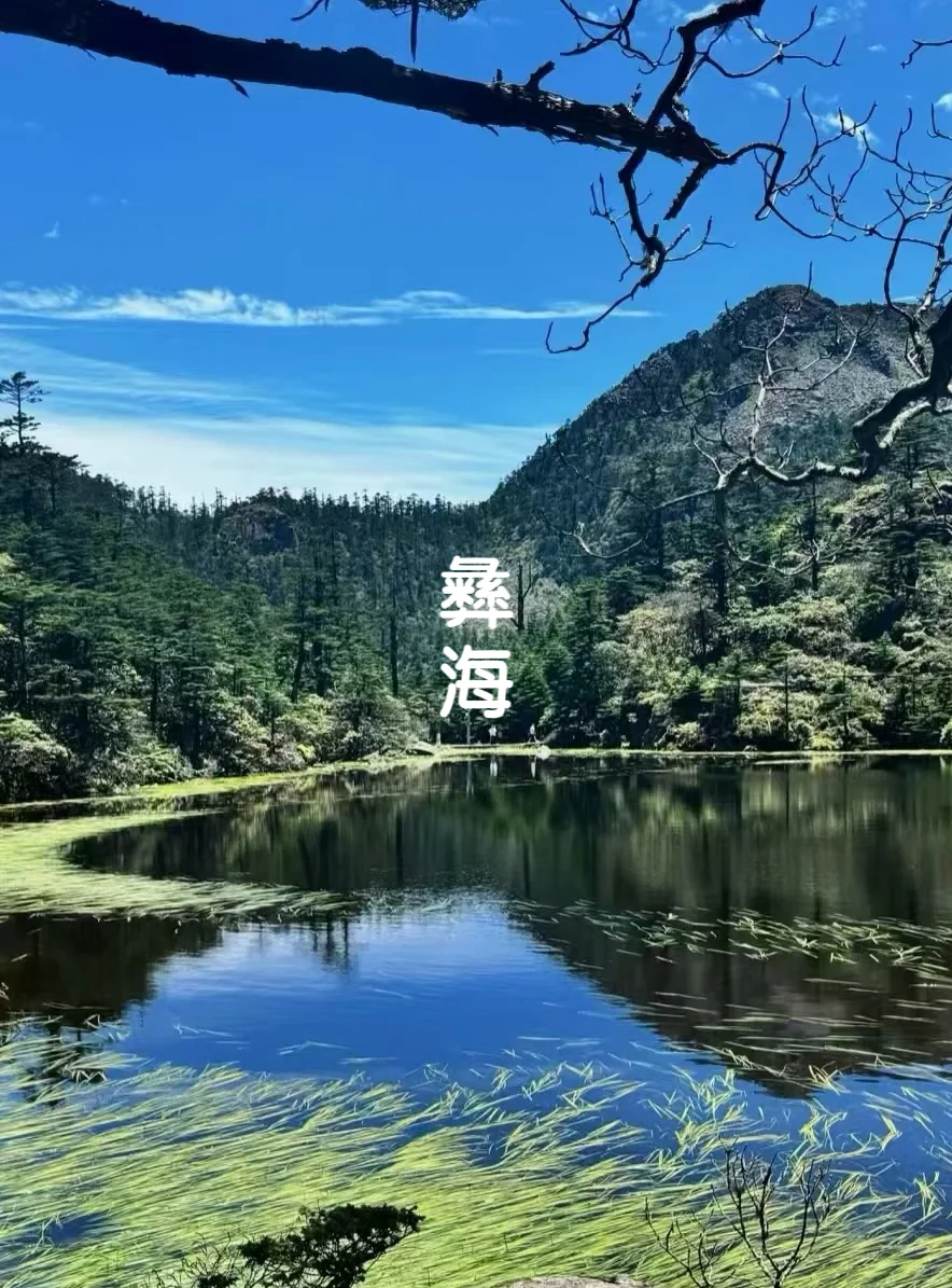 一张图盘点，川西凉山的那些人间仙境⛰️～