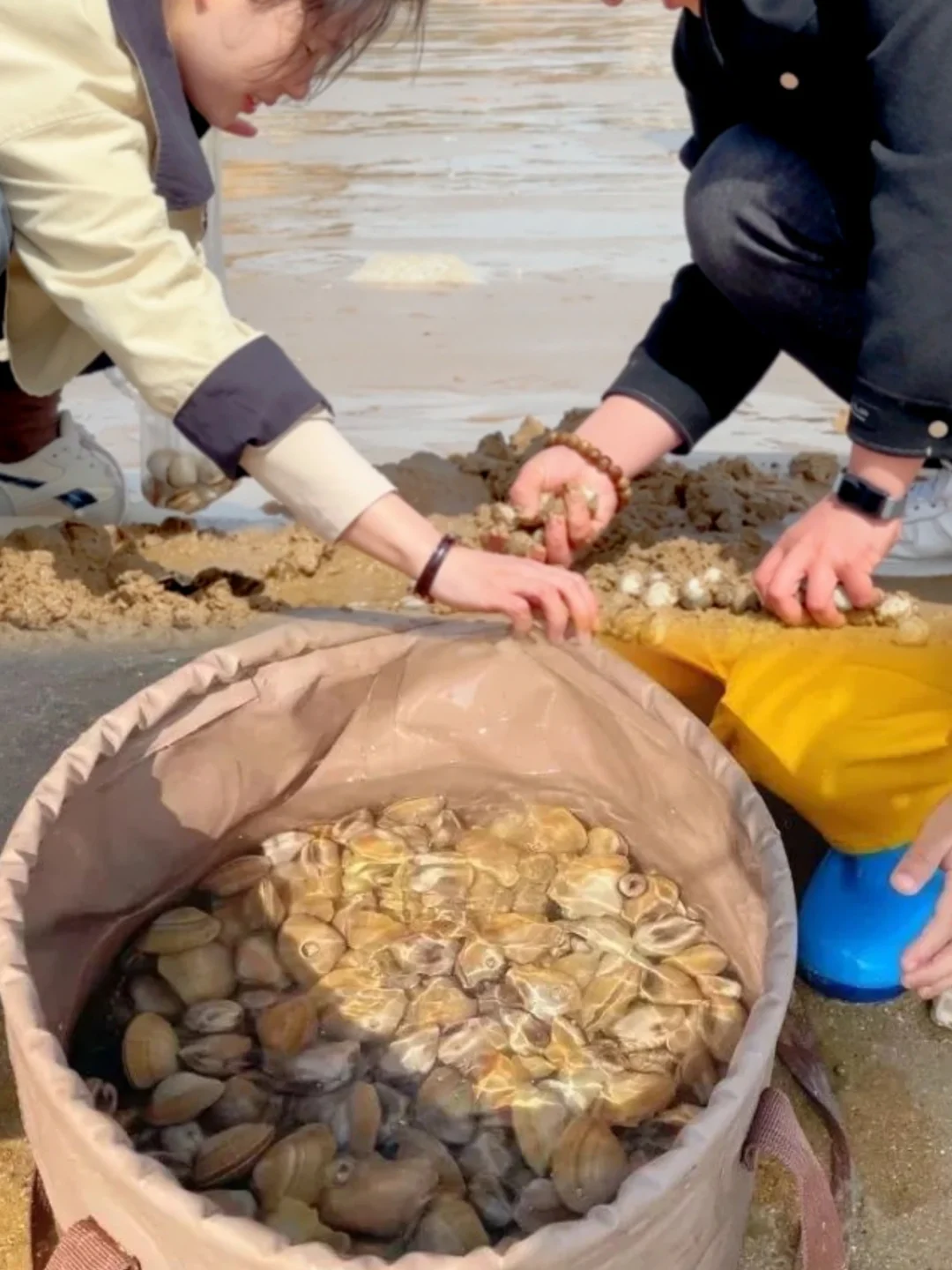 连云港人的嘴也太严了，这么多免费景点……