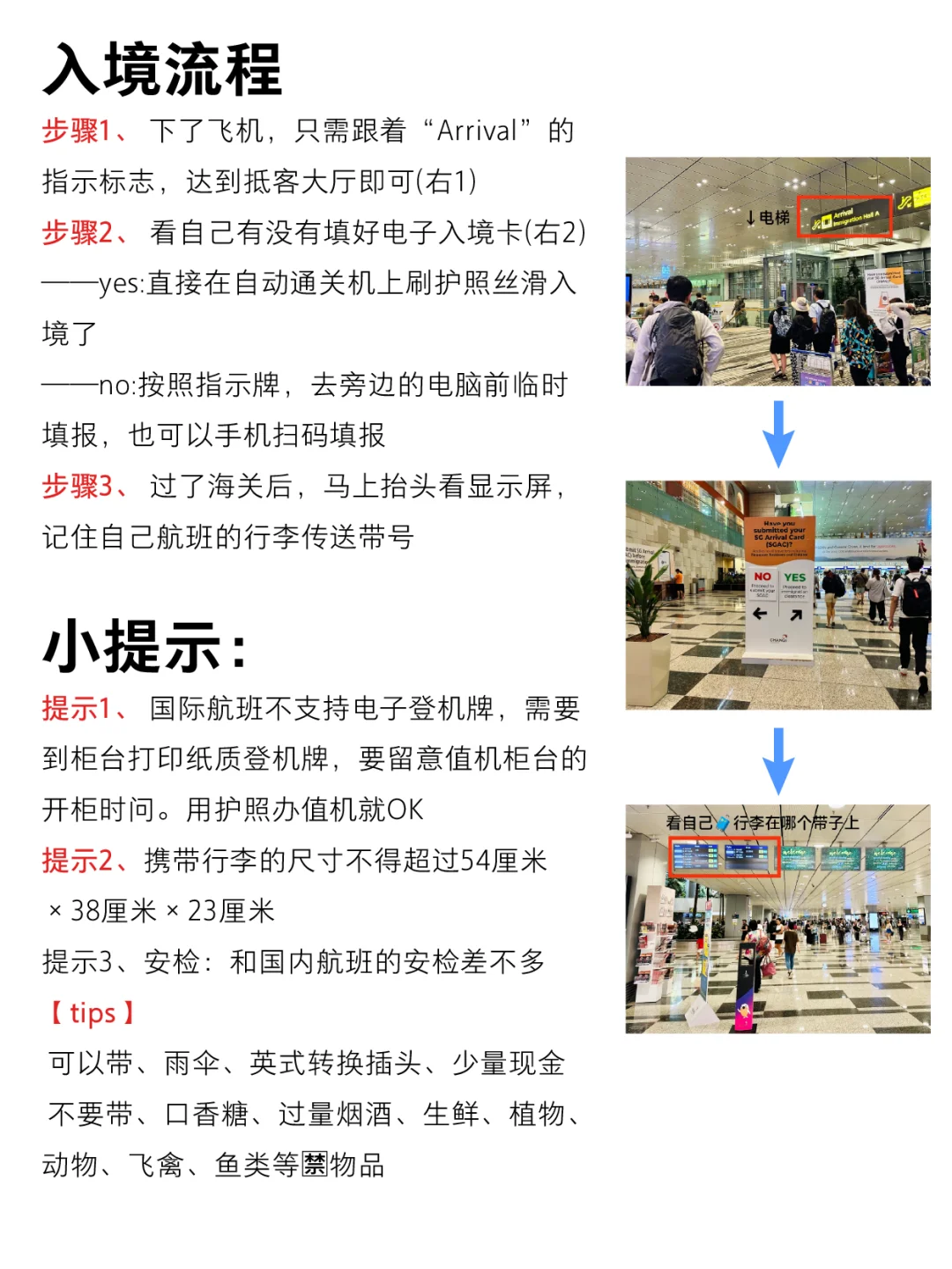 为什么我去新加坡旅游的之前没刷到这篇😭