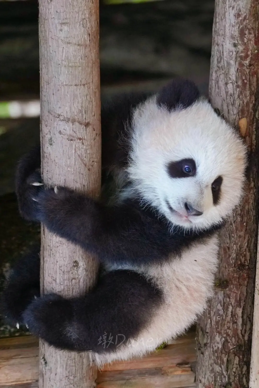 春节&寒假🔥适合学生党穷游的城市来了