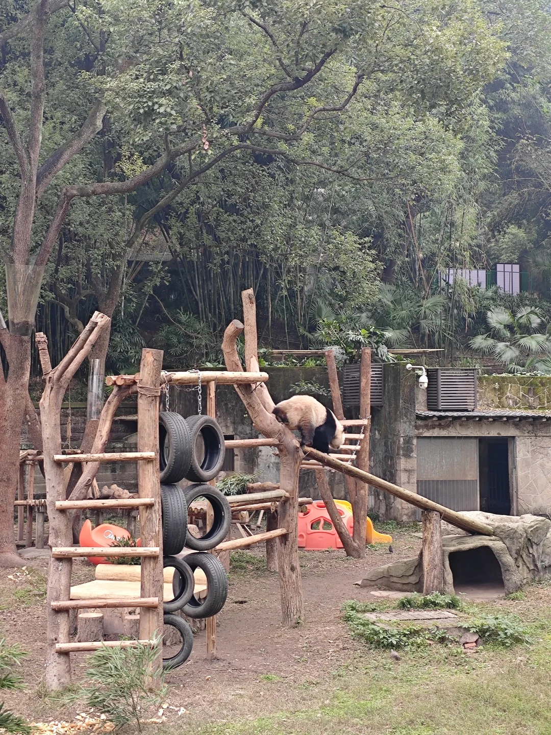 1.8重庆已回。。巨冷两人崩溃了😫