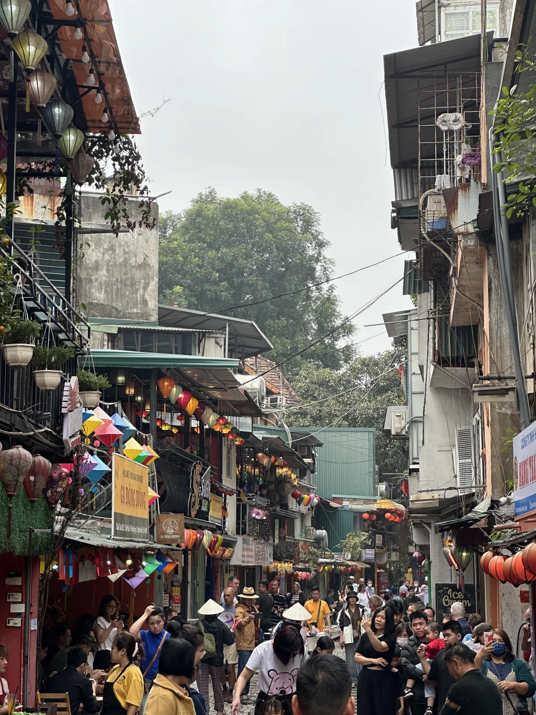 越南旅游🇻🇳亲测安全且值得去！！