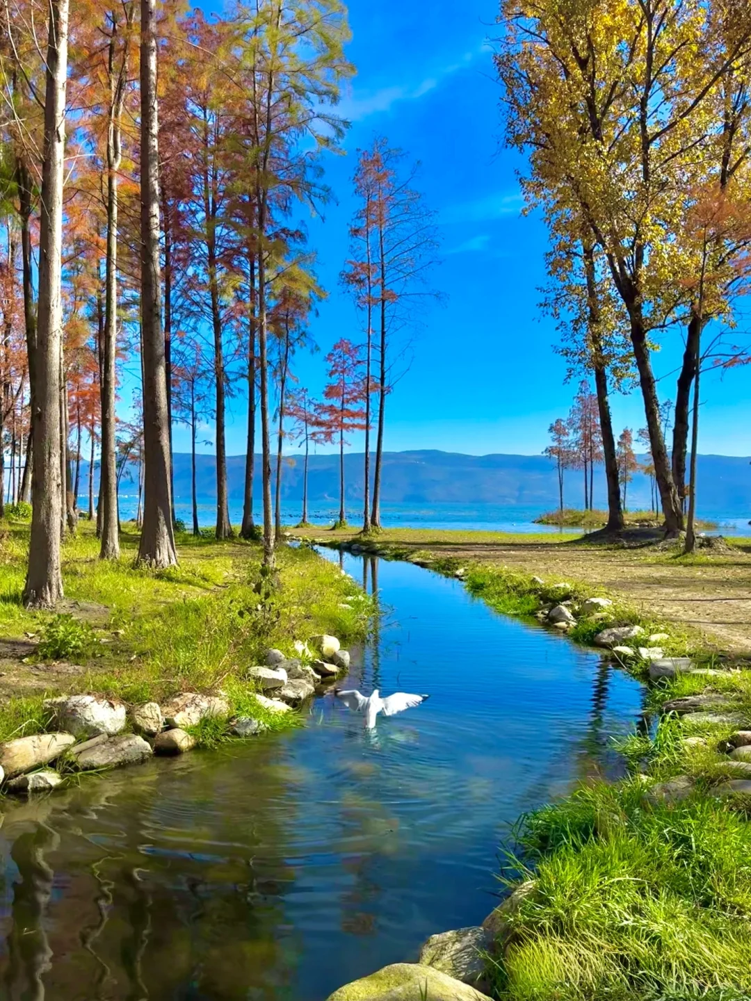 云南这些地方，你来过没有？