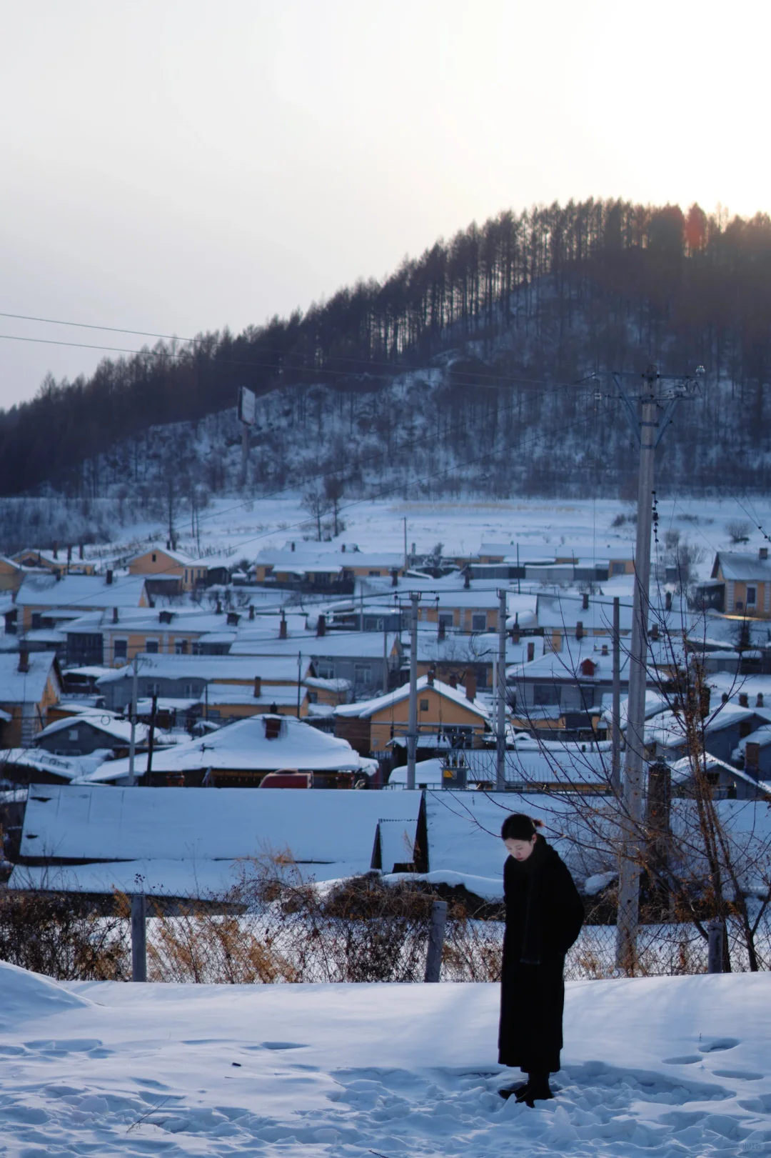 好惨一女的，旅游被骗了还要被人拉踩