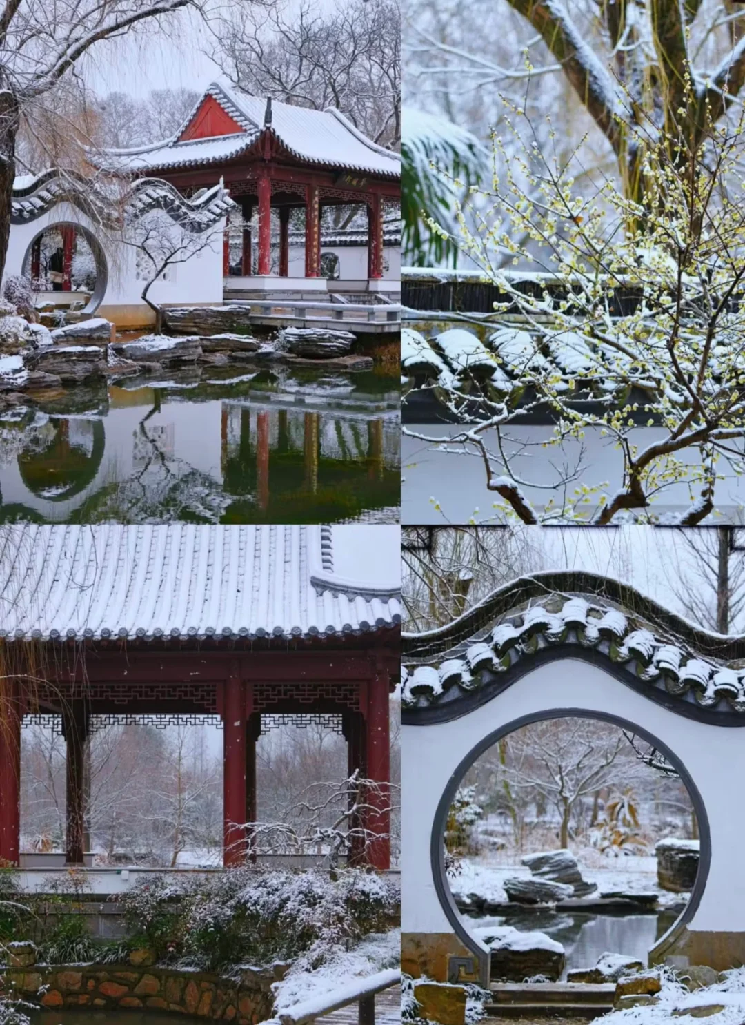 春节适合小住一周的5大城市旅游攻略