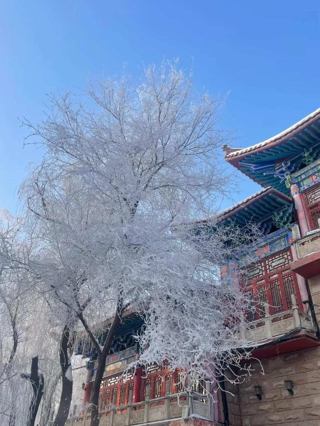 乌鲁木齐半日游—看雾凇的好去处❄️
