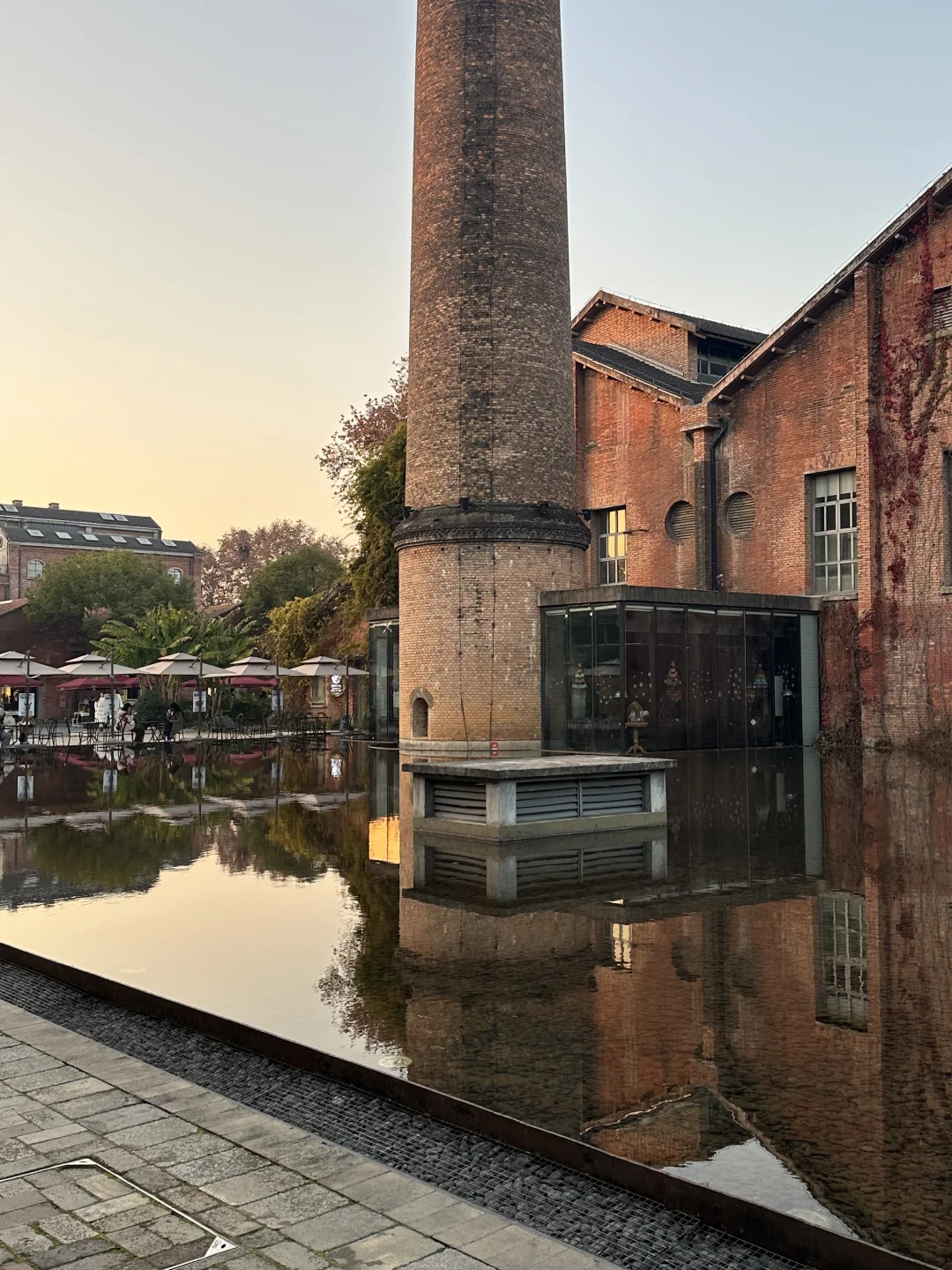 景德镇受冻已回。。能劝一个是一个。。。