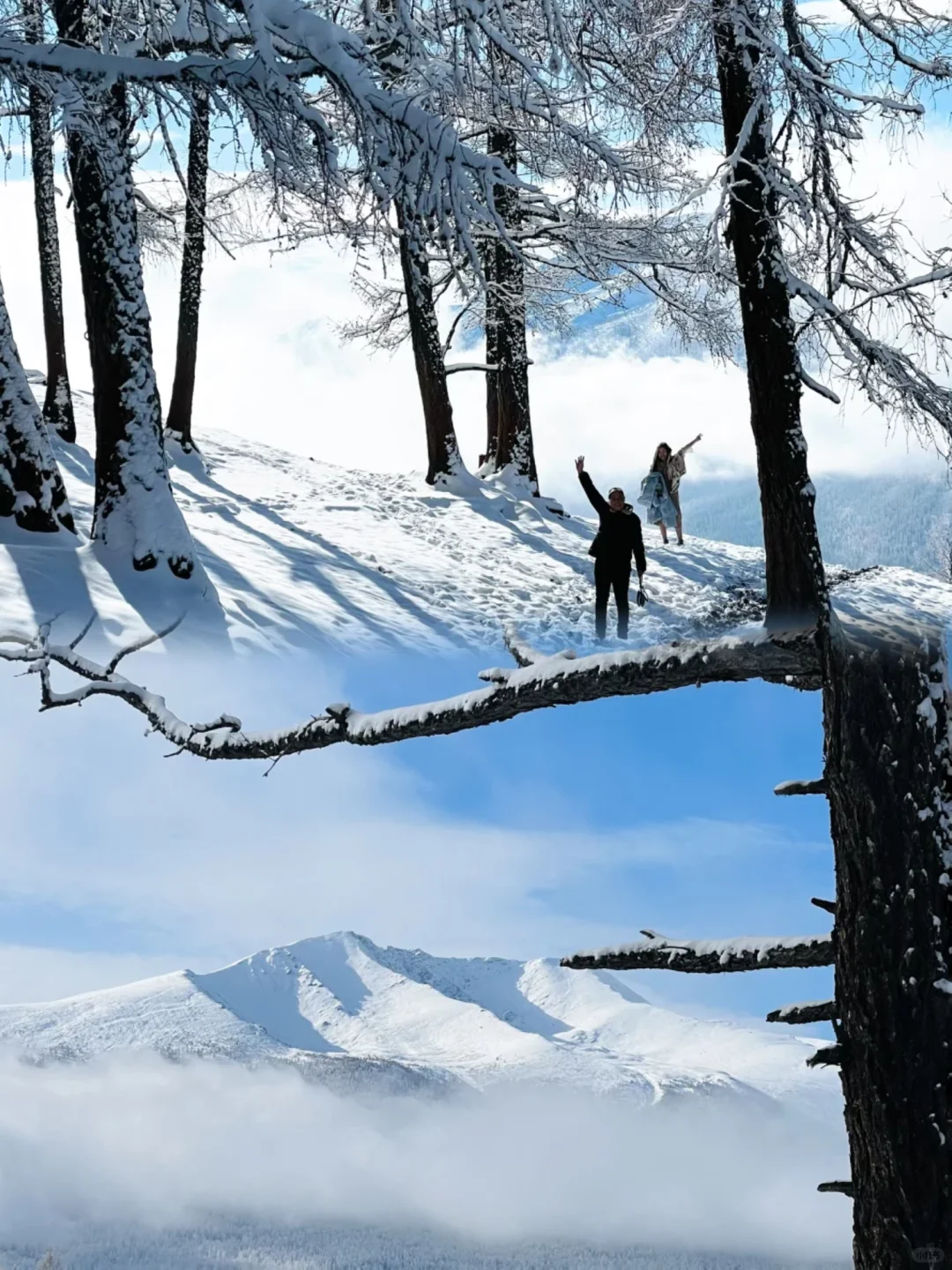 一个人勇闯阿勒泰8天7晚花了不到5000r💰