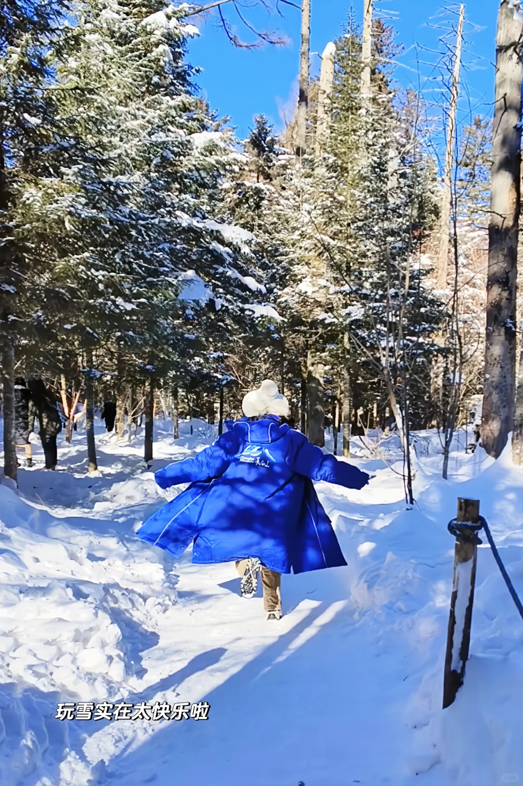 长白山天池不开放！来都来了，还可以玩些啥