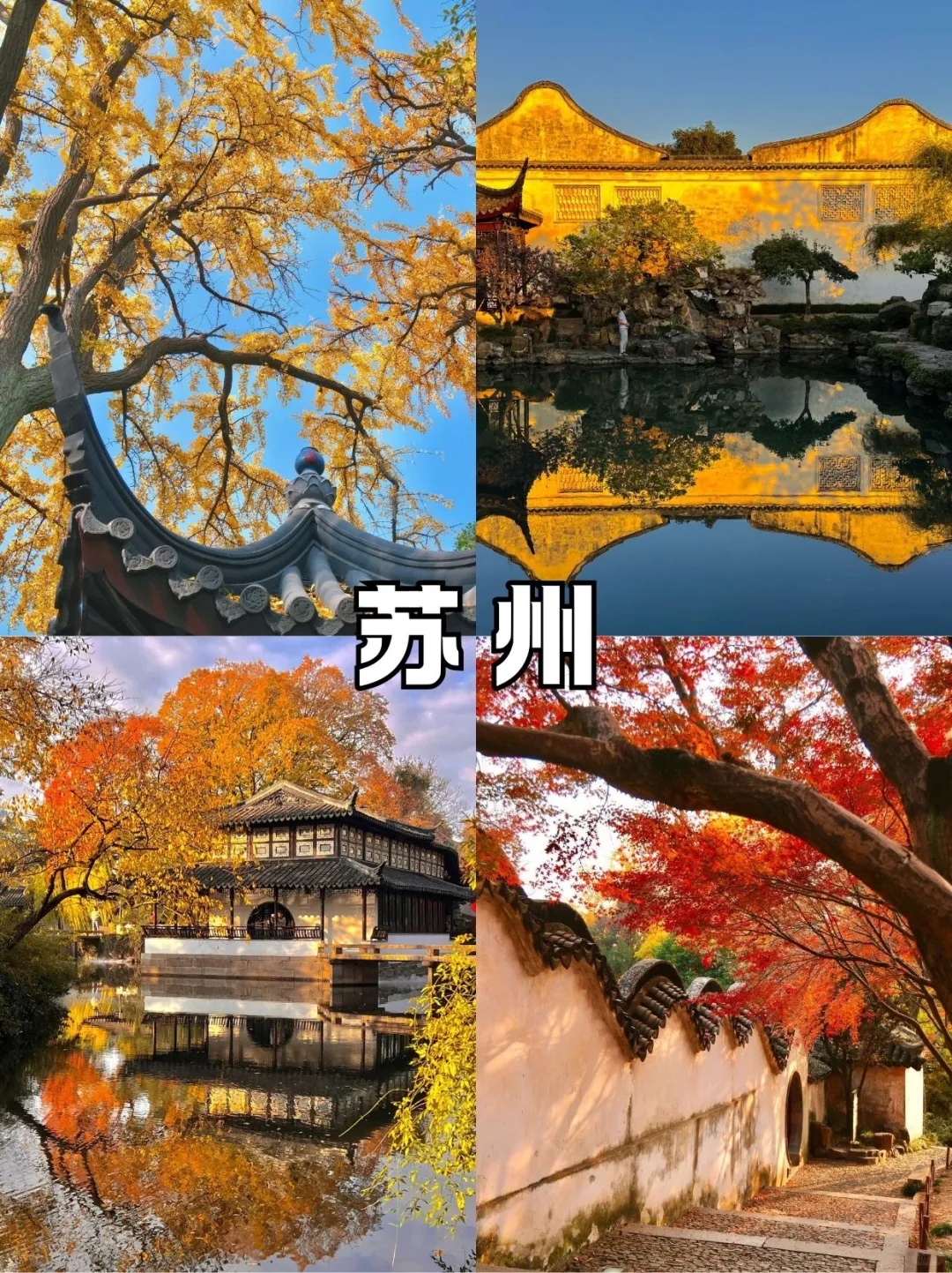 适合春节出行8大宝藏城市🏙 快乐过新年❤