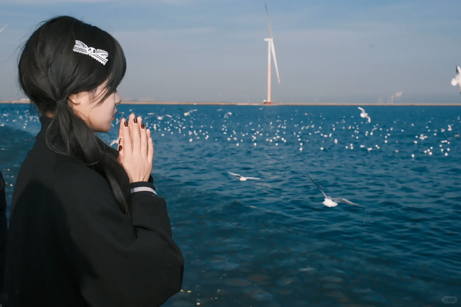 海边的甜妹与海鸥!