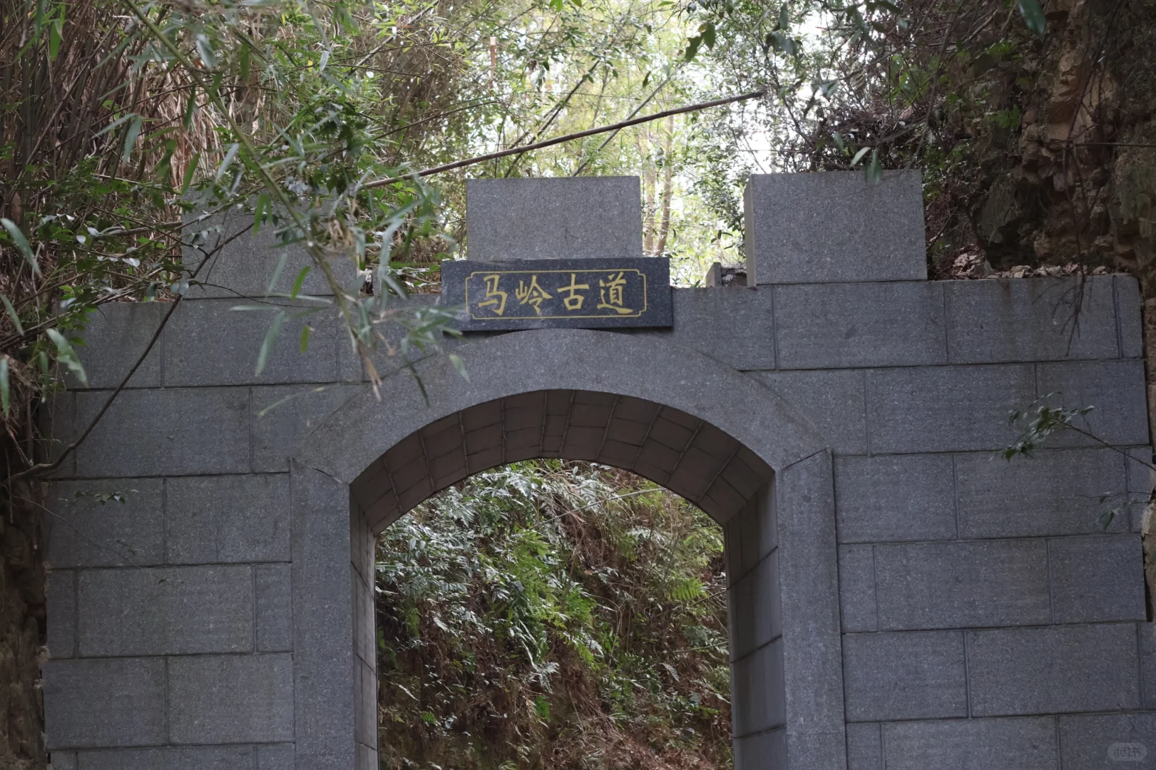 桐庐day1…论景区的食物能有多离谱