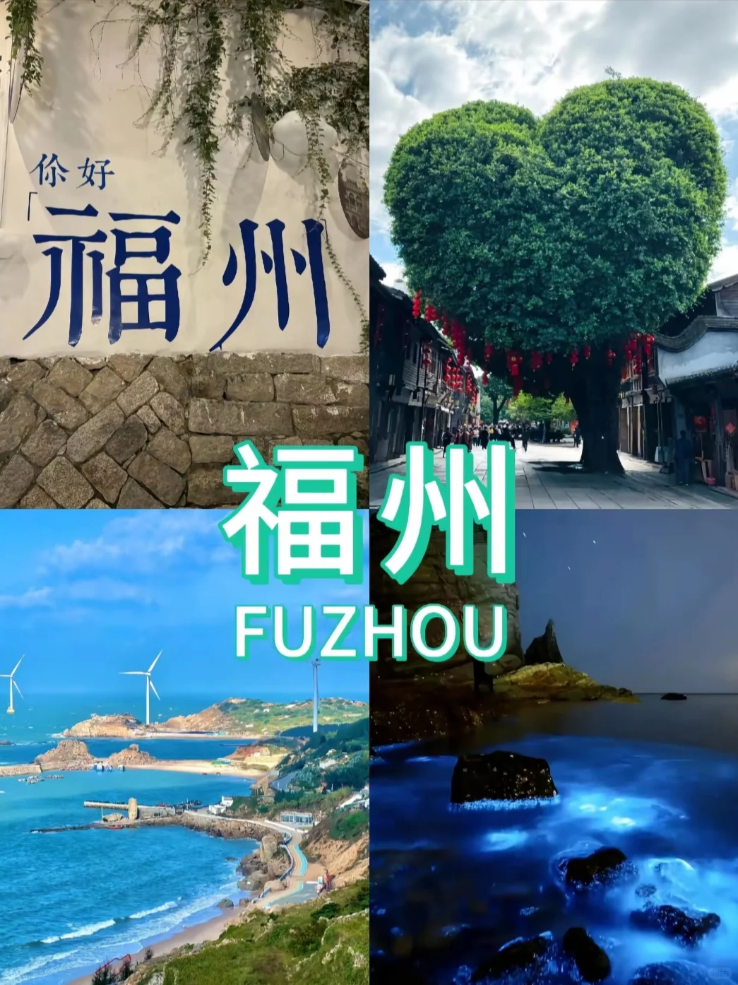 冬季反向旅游9个避寒城市🏝收藏好啦‼️