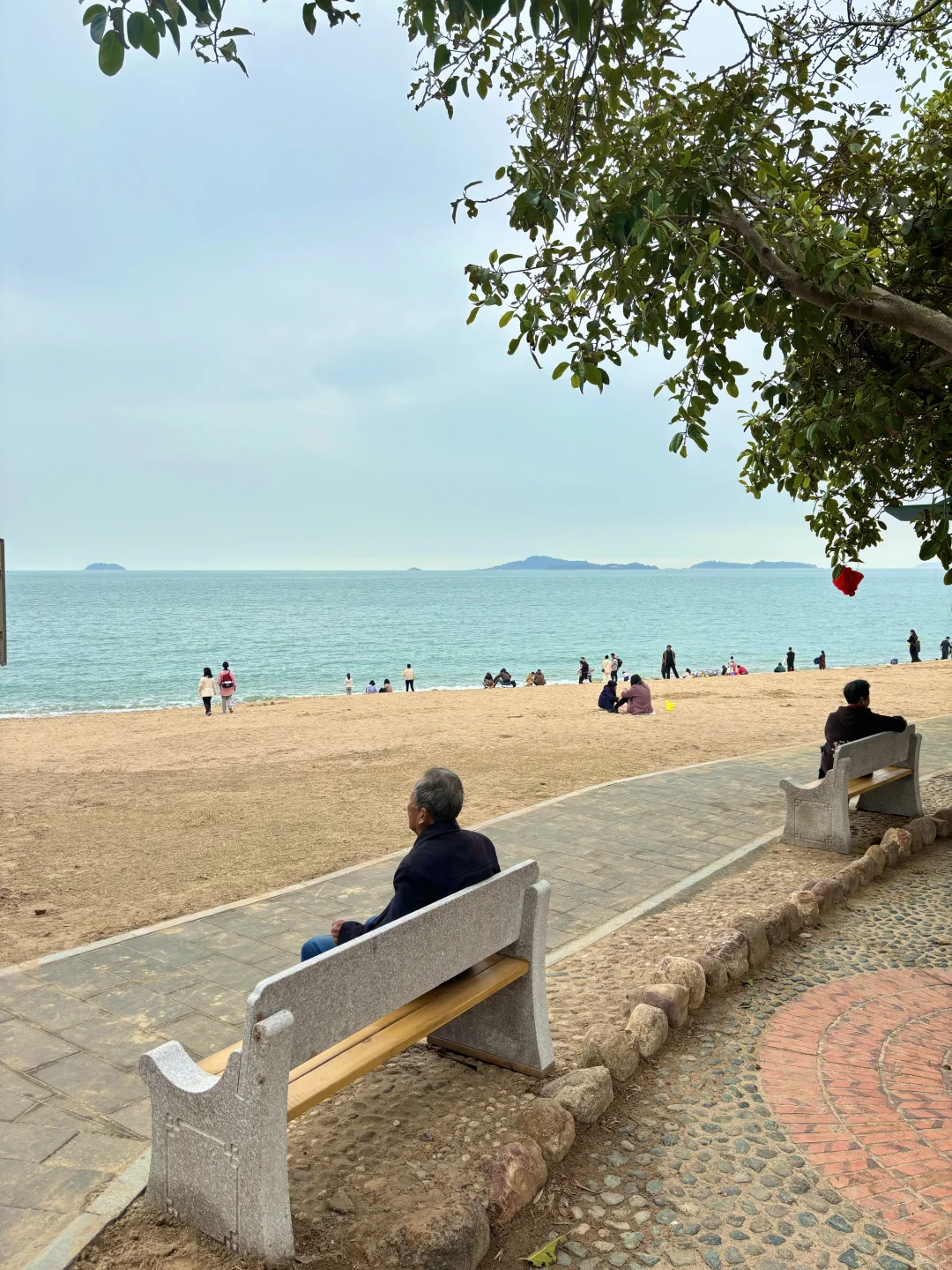 厦门1月12日现状…春节要来的先听劝！！！！