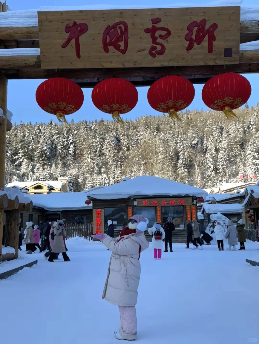 强力建议我的哈尔滨领队师傅（不是拖