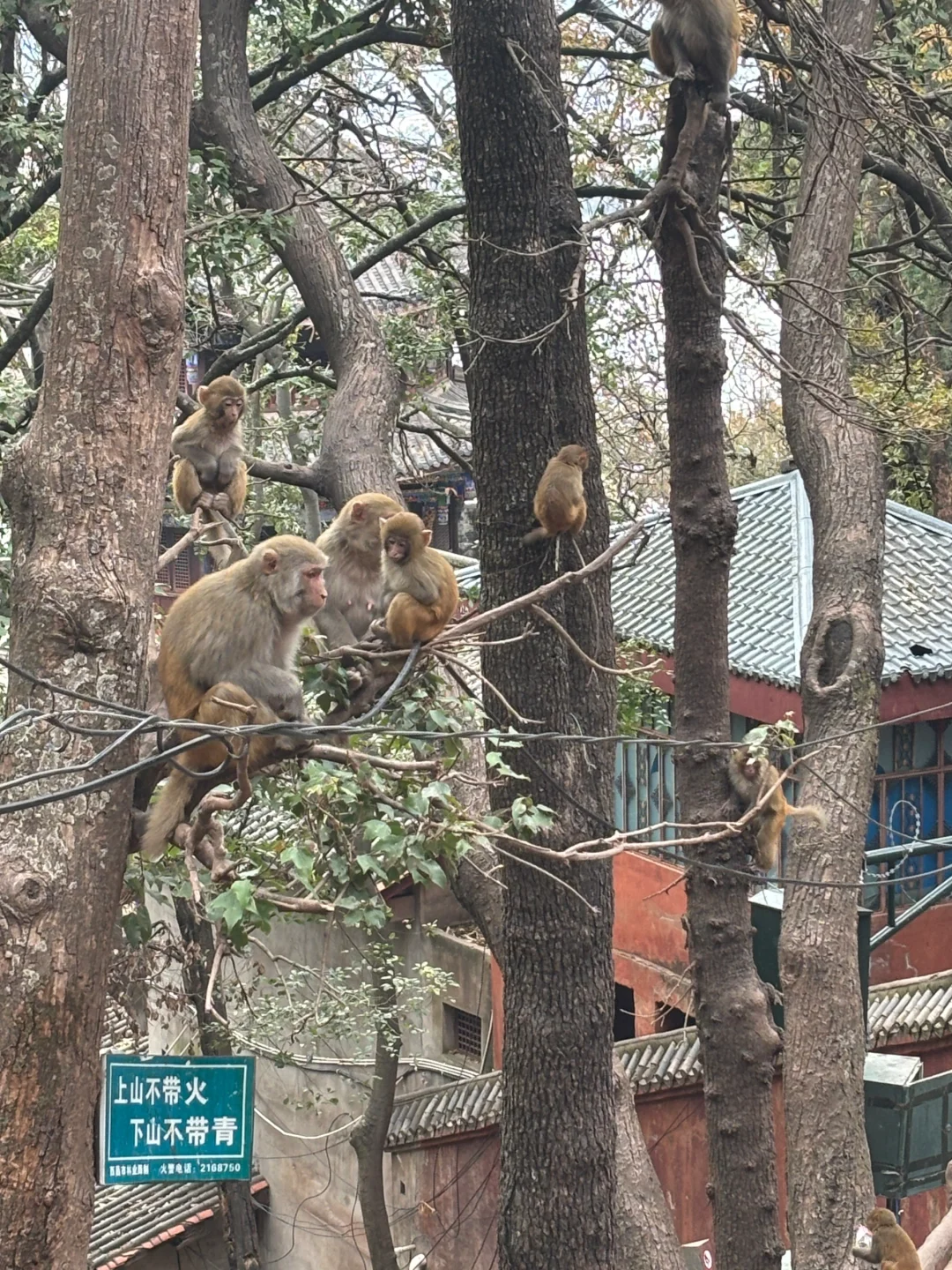 西昌三天两晚旅游攻略
