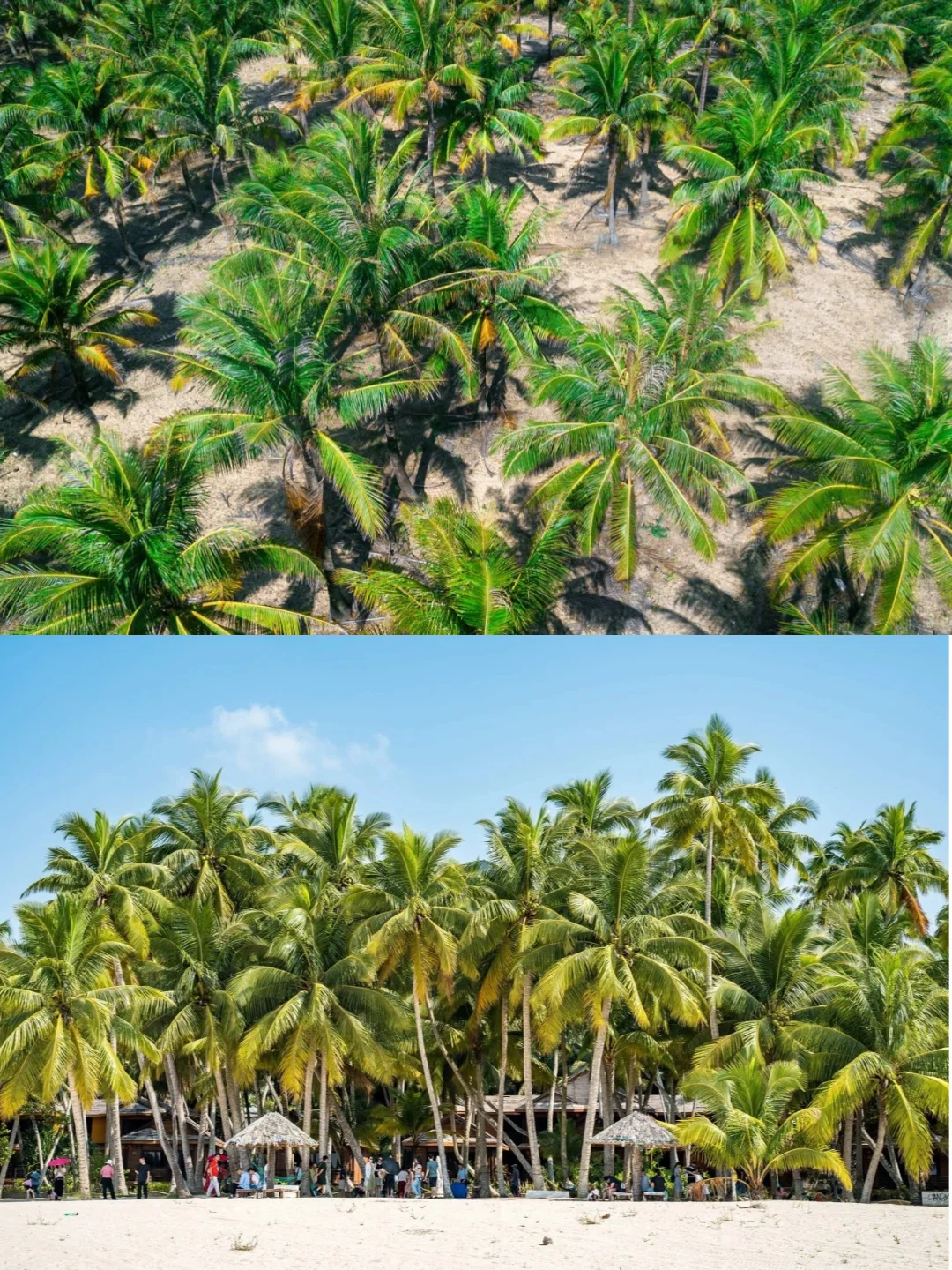 海南环岛旅游公路应该怎么导航？一篇讲清楚