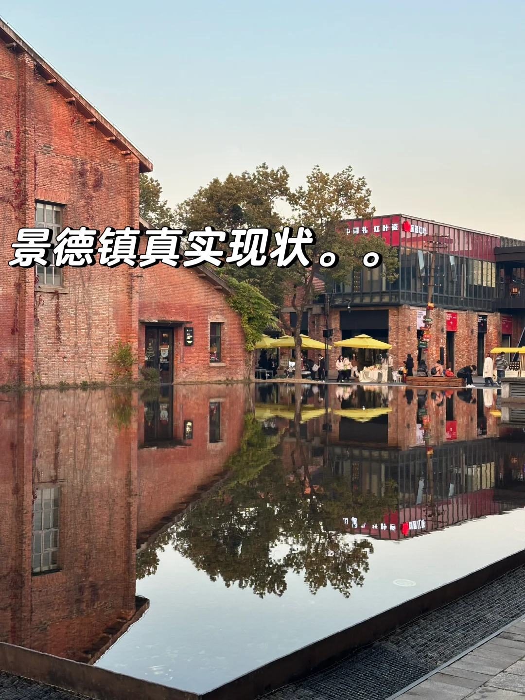 景德镇受冻已回。。能劝一个是一个。。。