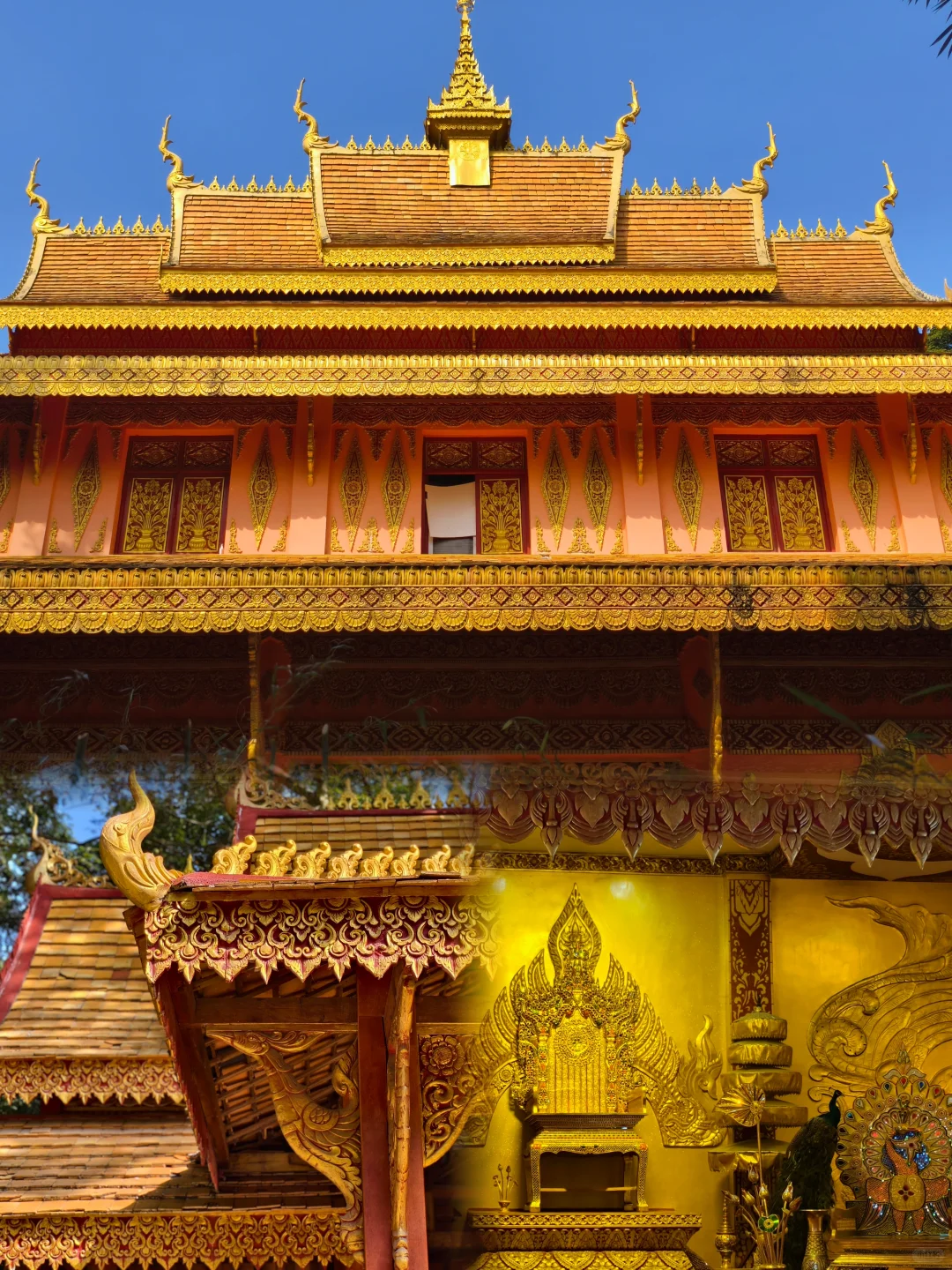 西双版纳|曼听公园+总佛寺