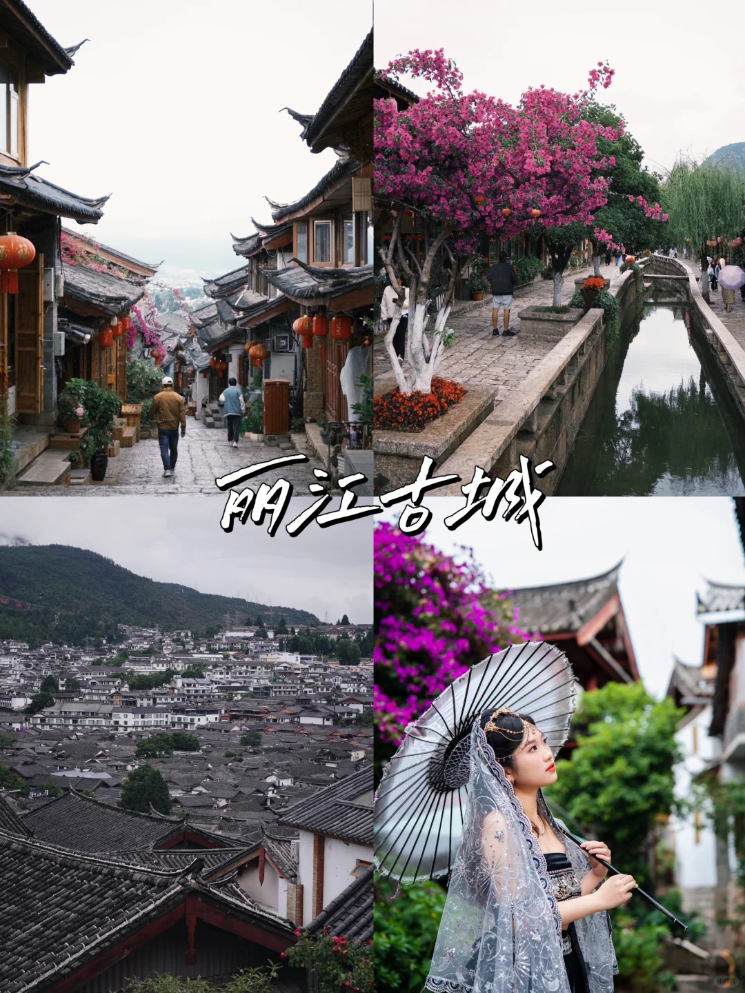 大学生旅游勇闯云南！穷游7天仅花RM2400‼️🥳