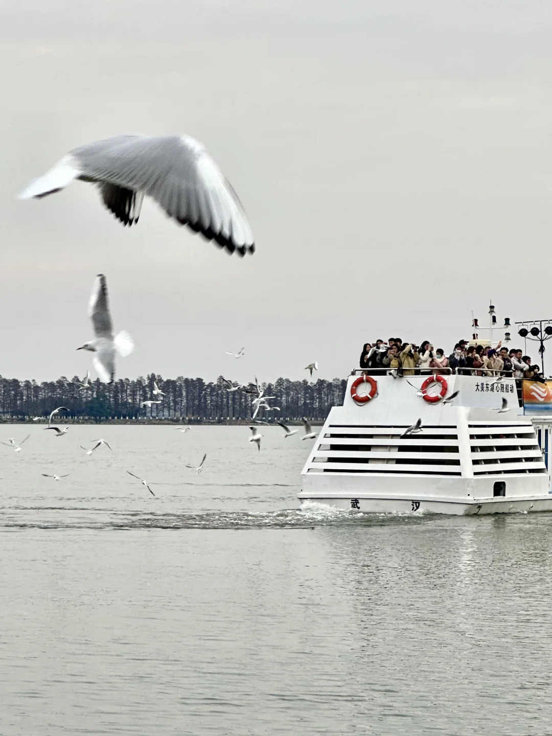 不是大理去不起，而是东湖更有性价比！！！