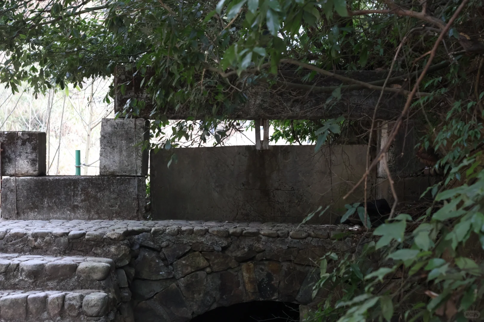 桐庐day1…论景区的食物能有多离谱