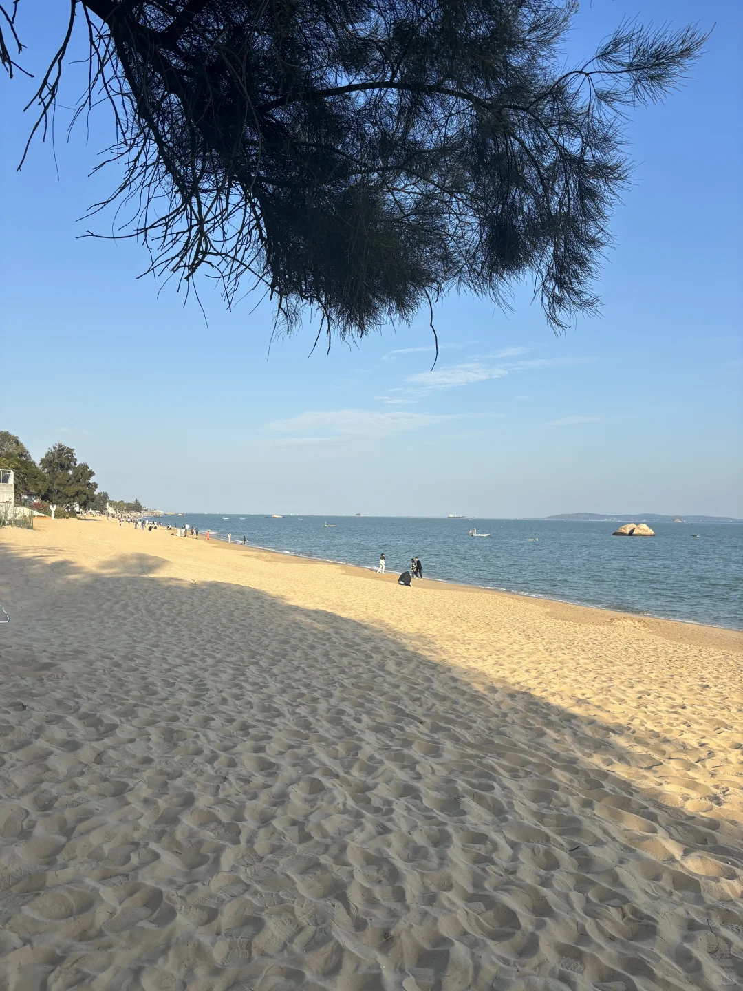 厦门1月12日现状…春节要来的先听劝！！！！