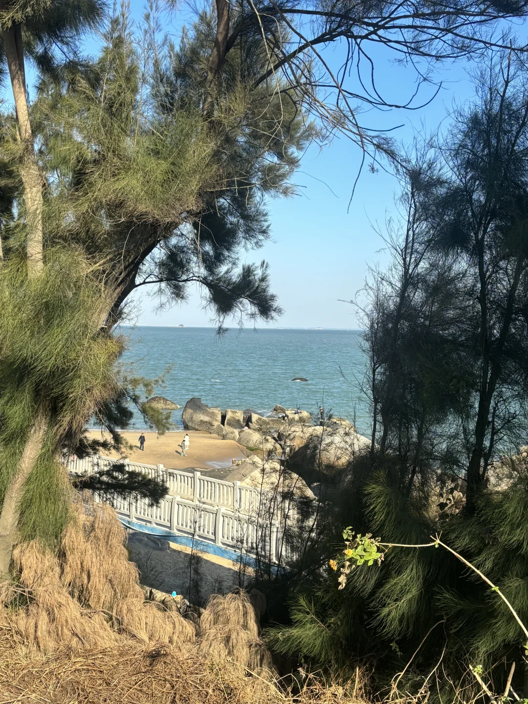 厦门1月12日现状…春节要来的先听劝！！！！