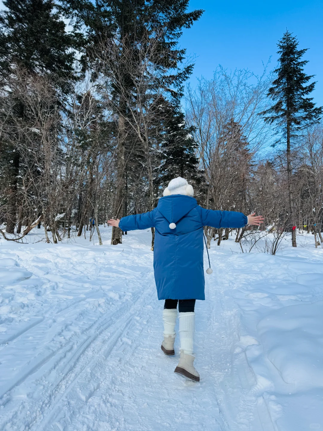 延吉-长白山-哈尔滨旅游