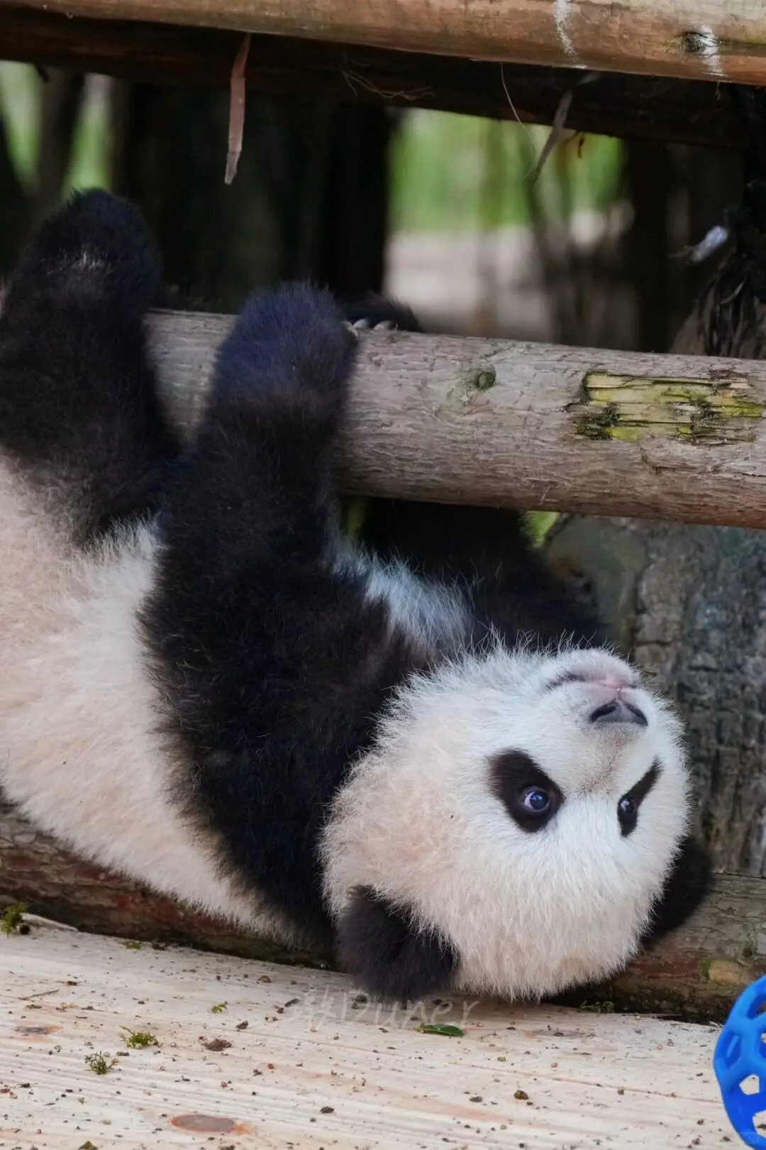 春节&寒假🔥适合学生党穷游的城市来了