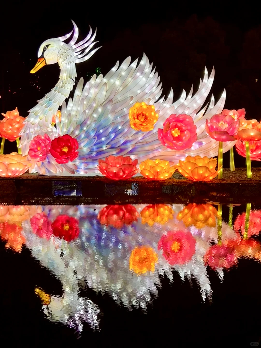 第一次来南宁❗️请直接复制这条3天游线路‼️