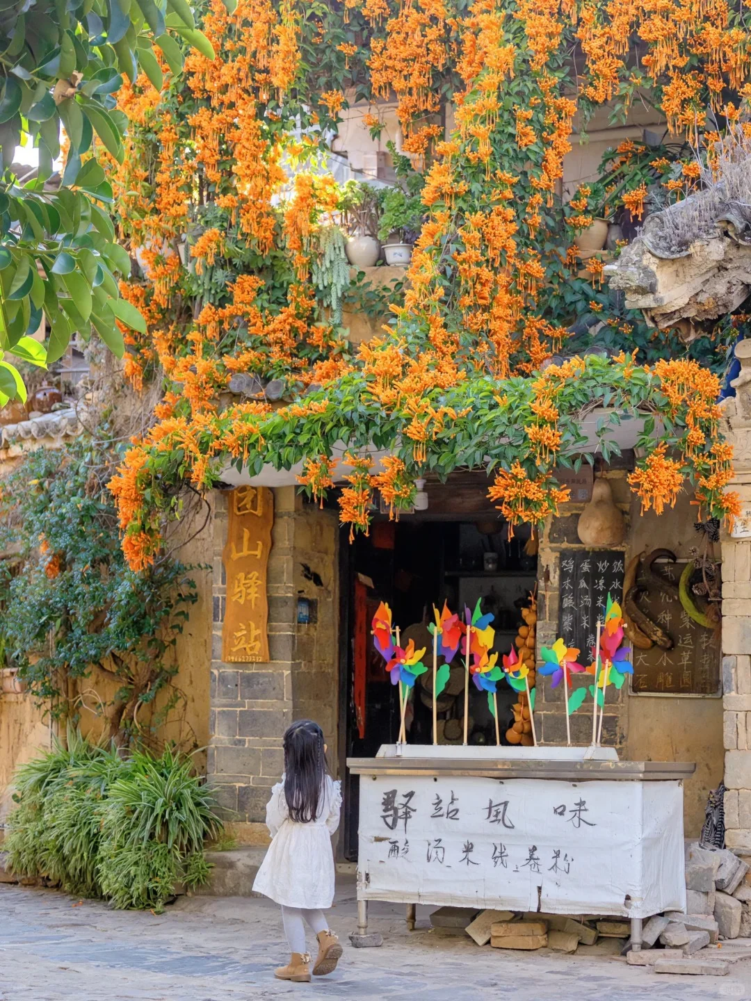 春节一定要冲21°C的弥勒！真的反向旅游天花