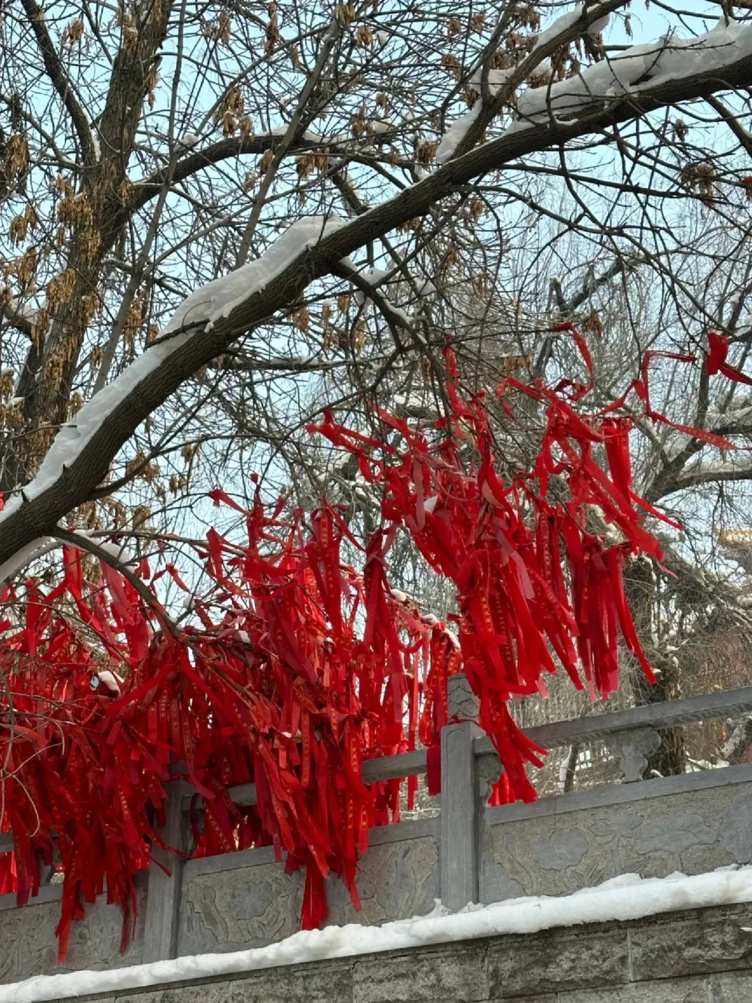 乌鲁木齐半日游—看雾凇的好去处❄️