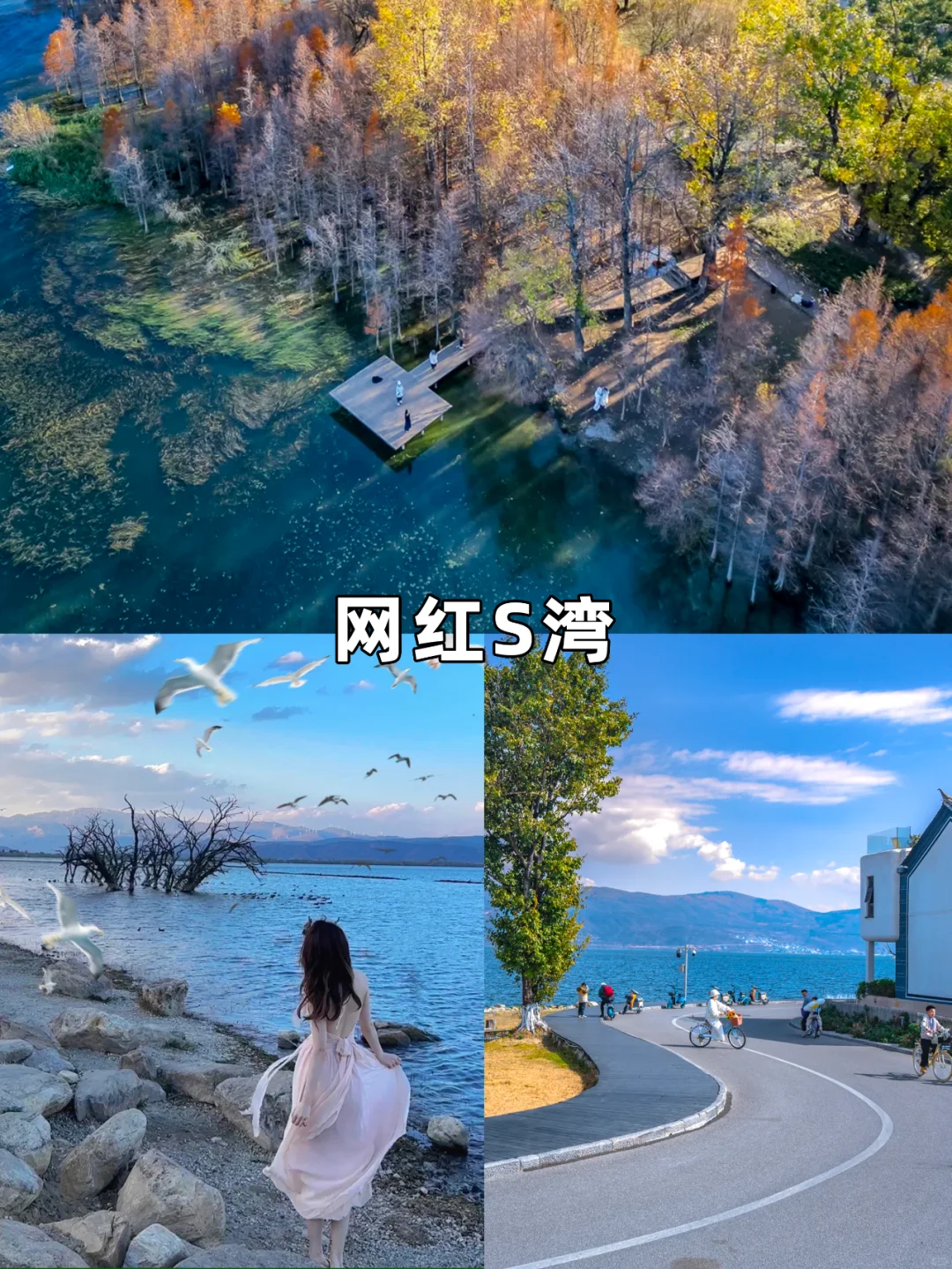 1月去云南旅游的姐妹👭听劝