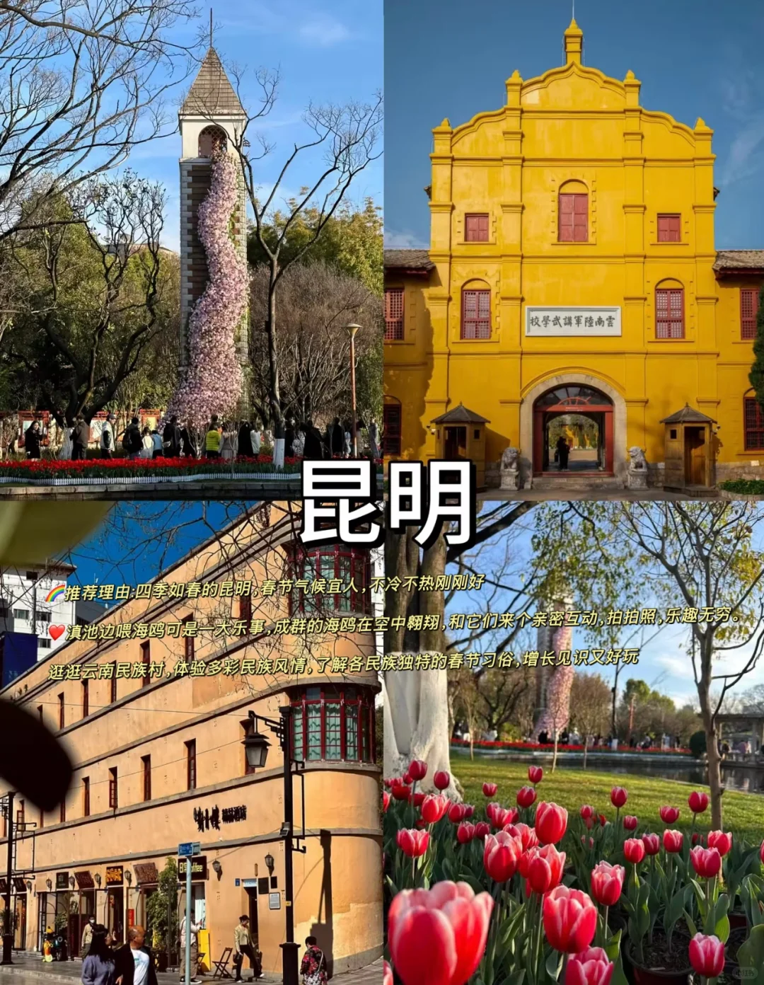 春节适合小住一周的5大城市旅游攻略