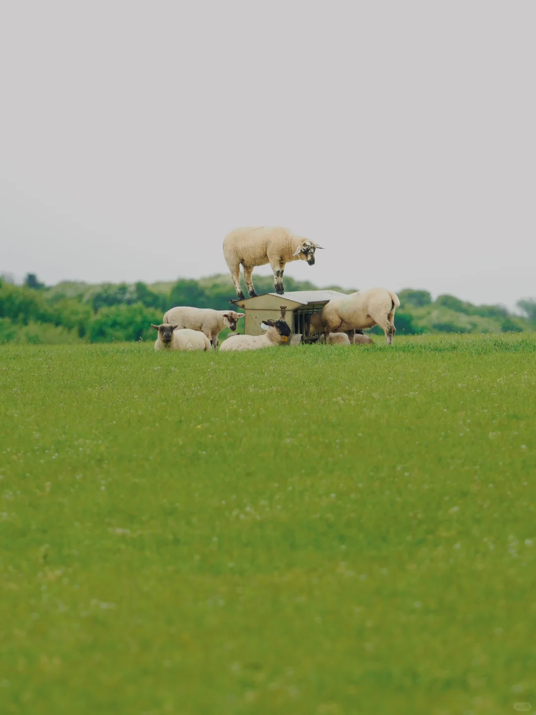 《国家地理》没骗我!陆地的尽头太震撼了!