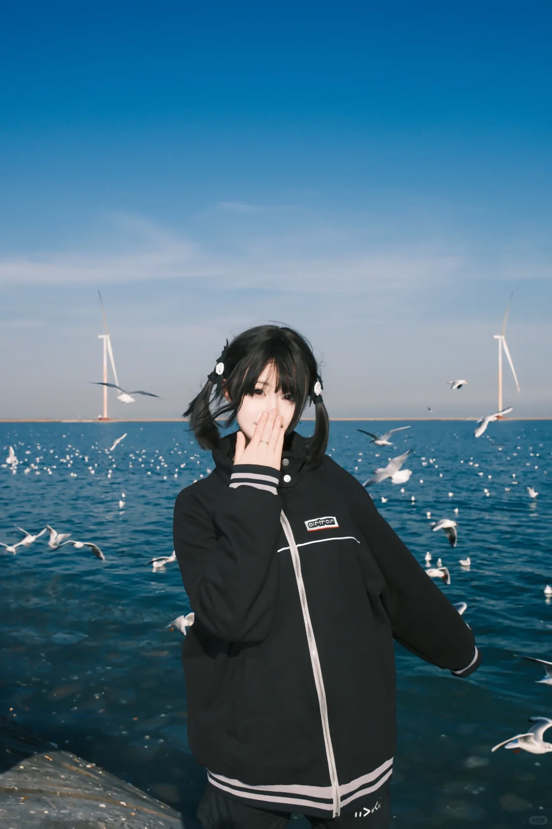 海边的甜妹与海鸥!