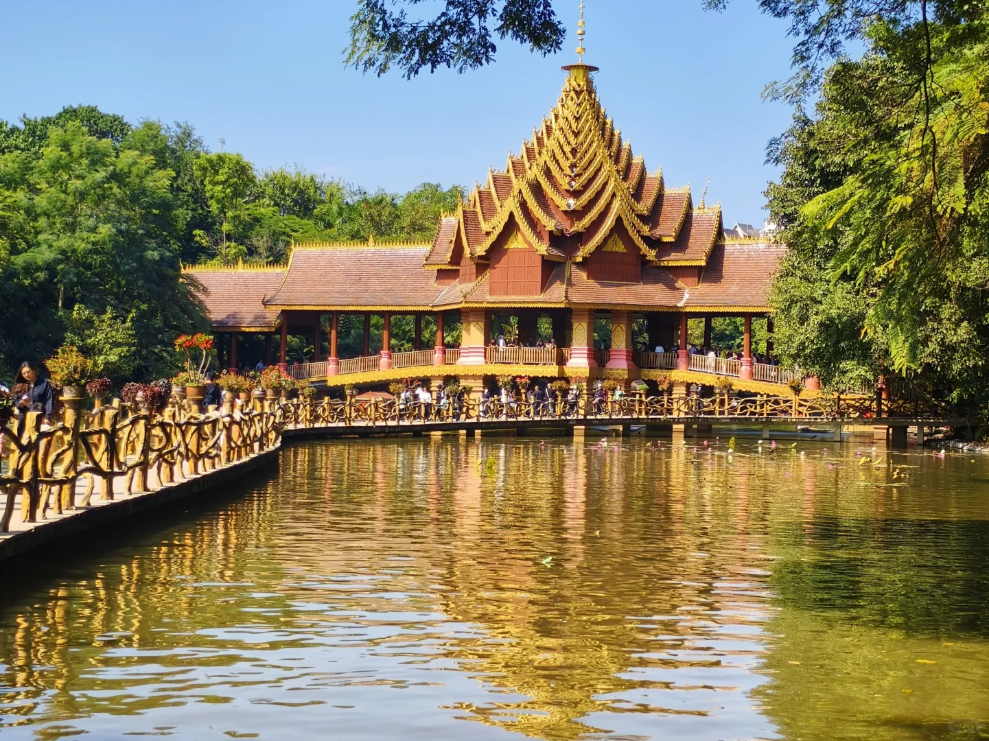 西双版纳|曼听公园+总佛寺