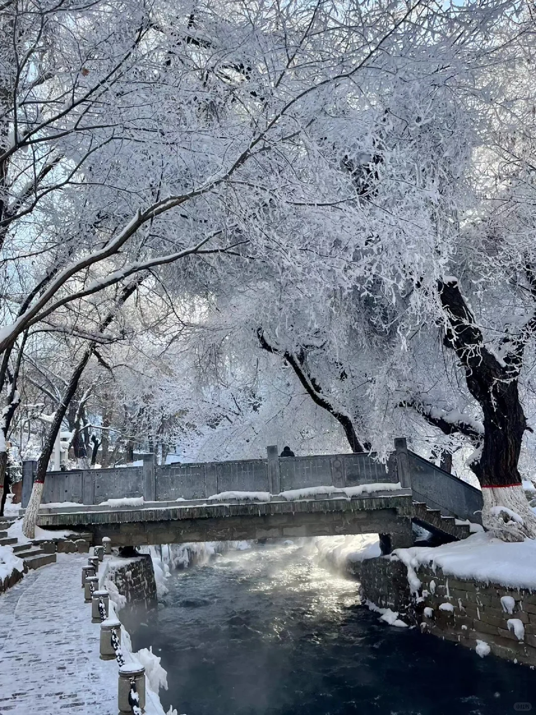 乌鲁木齐半日游—看雾凇的好去处❄️