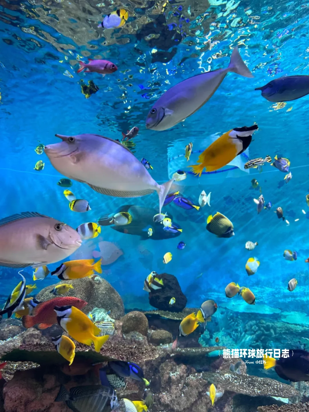 🫶韩国首尔懒人版攻略|超详细齐全版🔎