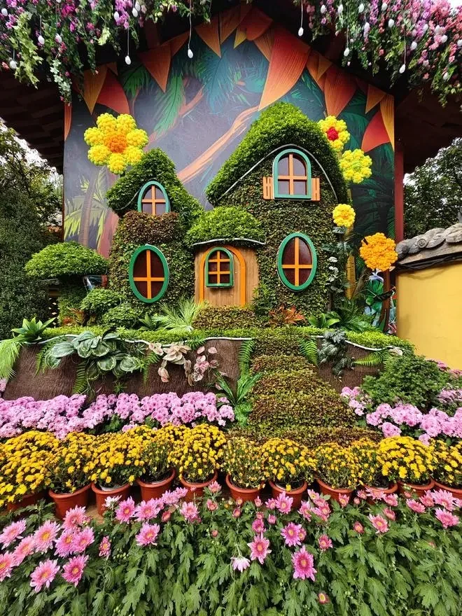 邯郸到开封菊花文化节，自由逛吃开封！