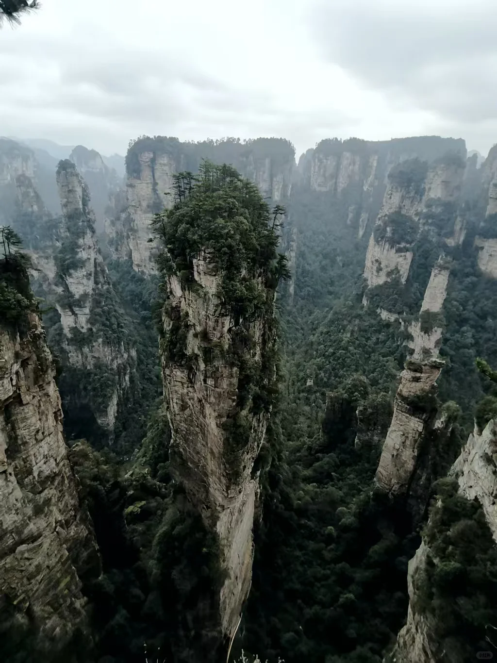 迷失在武陵源的人间仙境里｜来张家界吧