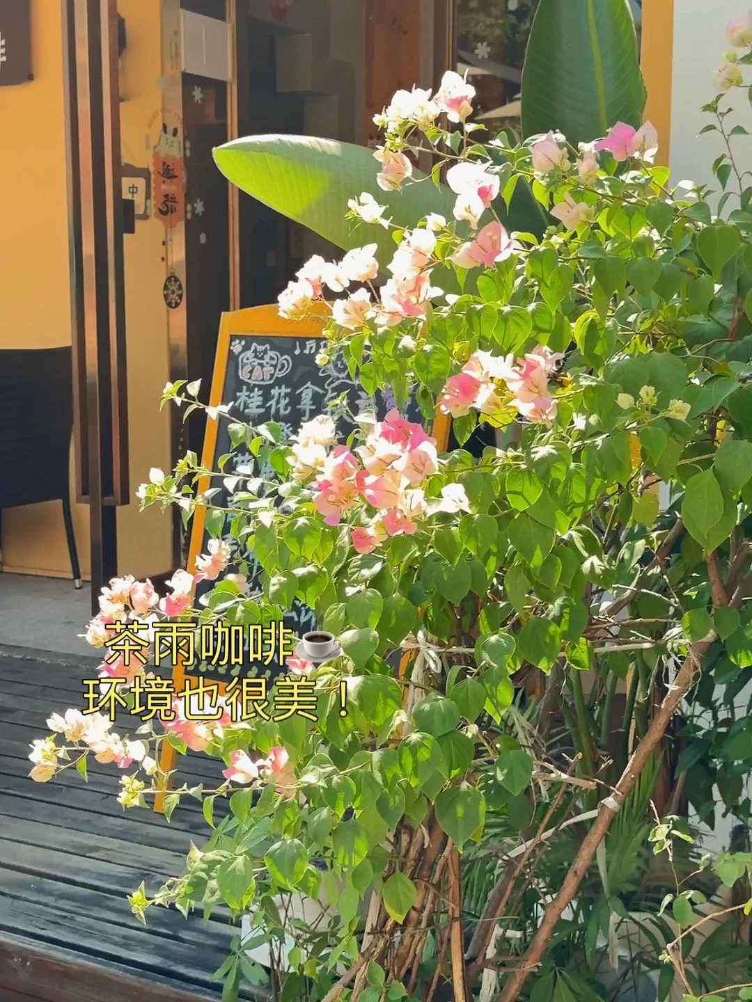 被问爆的珠海景点🎑！北山大院！去有风的地方