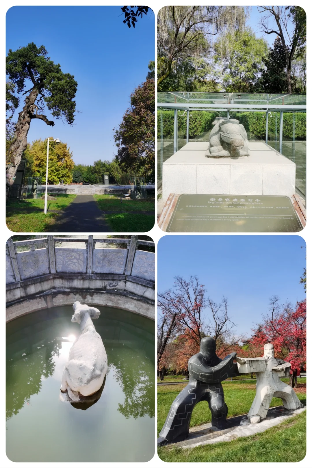 西安周边游:周至县 古楼观 老子亲植银杏